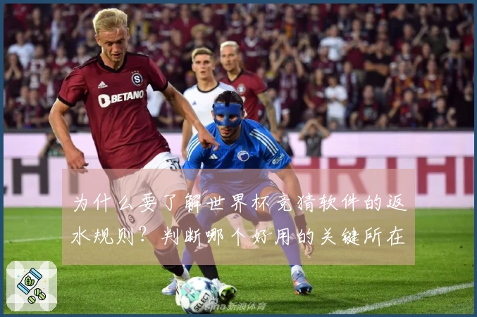 为什么要了解世界杯竞猜软件的返水规则？判断哪个好用的关键所在