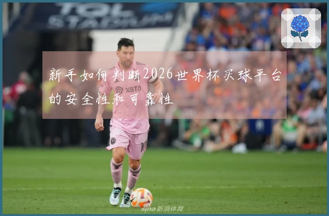 新手如何判断2026世界杯买球平台的安全性和可靠性