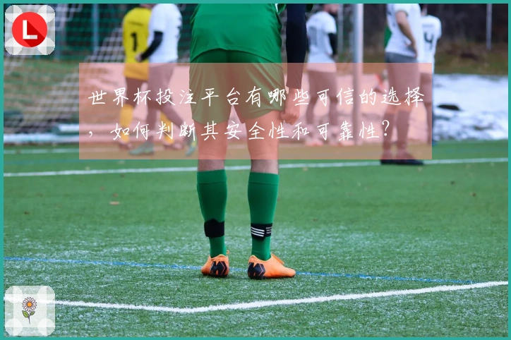 世界杯投注平台有哪些可信的选择，如何判断其安全性和可靠性？