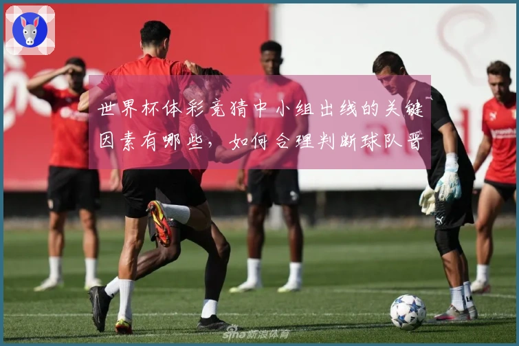 世界杯体彩竞猜中小组出线的关键因素有哪些，如何合理判断球队晋级可能性