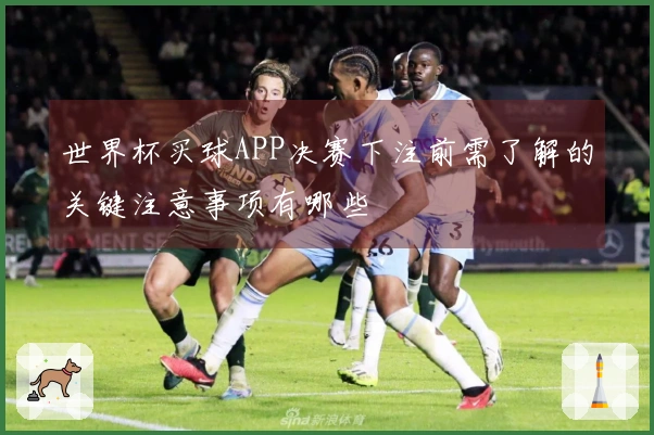 世界杯买球APP决赛下注前需了解的关键注意事项有哪些