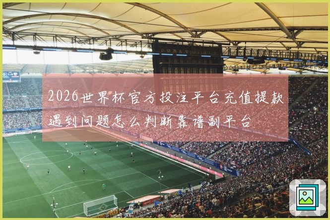 2026世界杯官方投注平台充值提款遇到问题怎么判断靠谱副平台