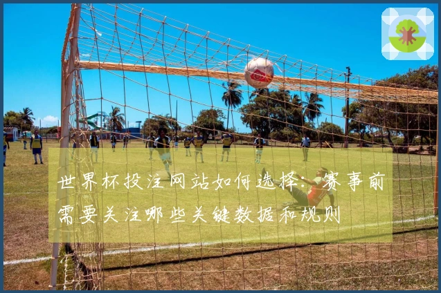世界杯投注网站如何选择：赛事前需要关注哪些关键数据和规则
