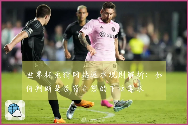 世界杯竞猜网站返水规则解析：如何判断是否符合您的下注需求