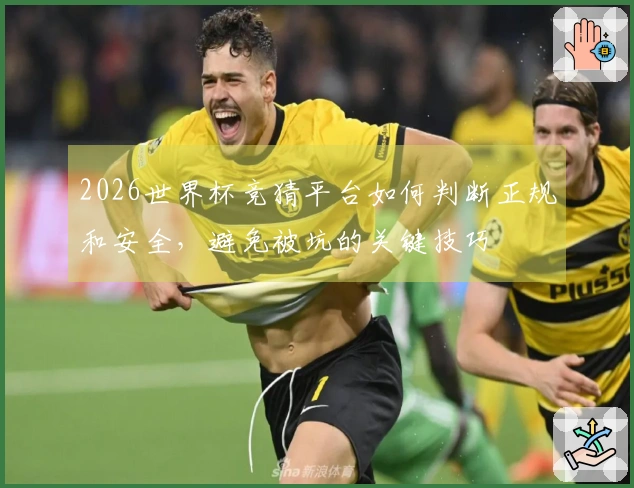 2026世界杯竞猜平台如何判断正规和安全，避免被坑的关键技巧