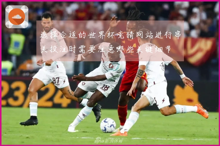 选择合适的世界杯竞猜网站进行串关投注时需要注意哪些关键细节