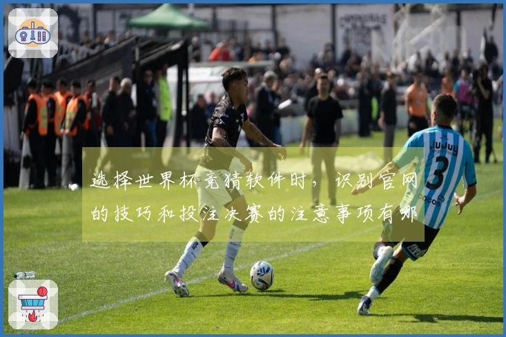 选择世界杯竞猜软件时，识别官网的技巧和投注决赛的注意事项有哪些？