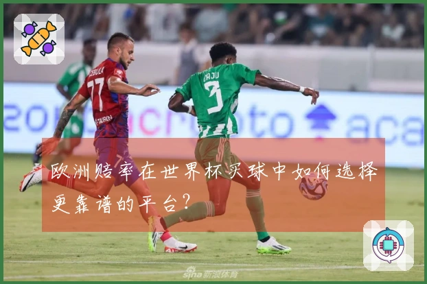 欧洲赔率在世界杯买球中如何选择更靠谱的平台？