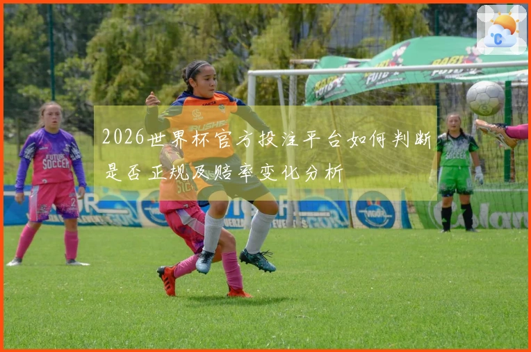 2026世界杯官方投注平台如何判断是否正规及赔率变化分析