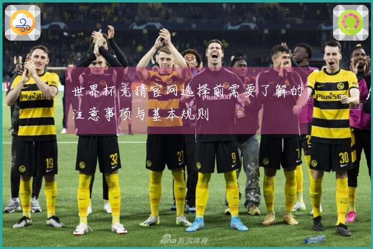 世界杯竞猜官网选择前需要了解的注意事项与基本规则