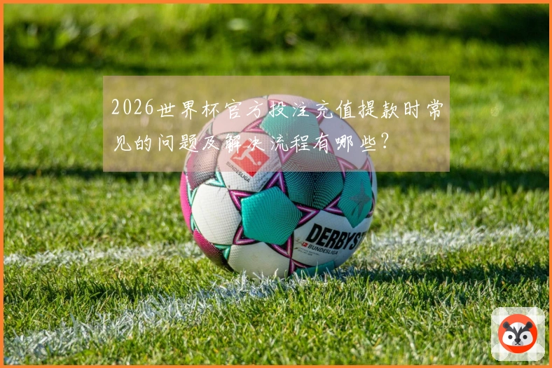 2026世界杯官方投注充值提款时常见的问题及解决流程有哪些？