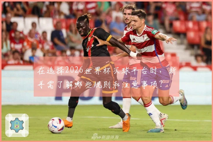 在选择2026世界杯买球平台时，新手需了解哪些规则和注意事项？