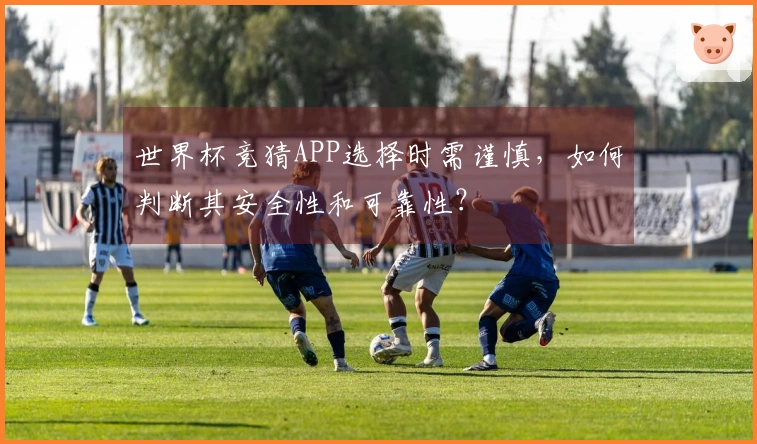 世界杯竞猜APP选择时需谨慎,如何判断其安全性和可靠性?