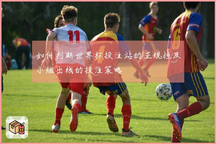 如何判断世界杯投注站的正规性及小组出线的投注策略