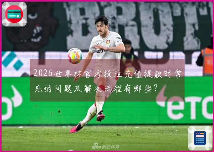 2026世界杯官方投注充值提款时常见的问题及解决流程有哪些？