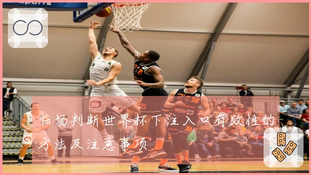 临场判断世界杯下注入口有效性的方法及注意事项
