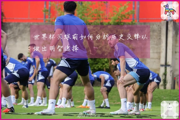 世界杯买球前如何分析历史交锋以做出明智选择