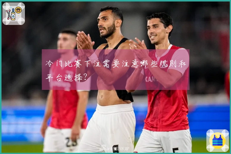 冷门比赛下注需要注意哪些规则和平台选择？