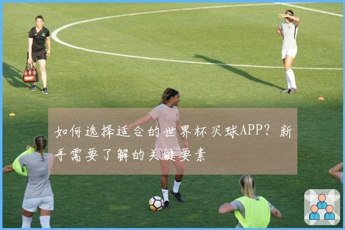 如何选择适合的世界杯买球APP？新手需要了解的关键要素