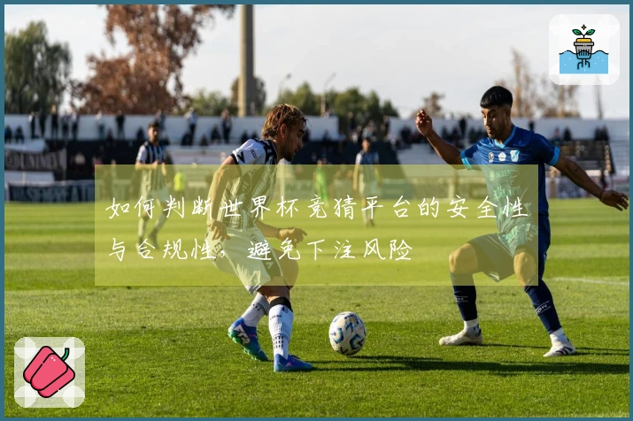 如何判断世界杯竞猜平台的安全性与合规性，避免下注风险