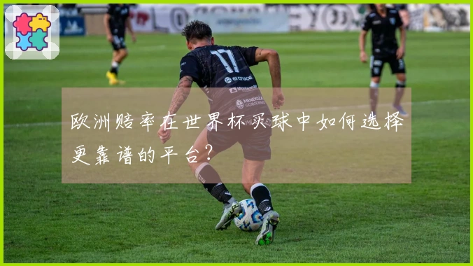 欧洲赔率在世界杯买球中如何选择更靠谱的平台？
