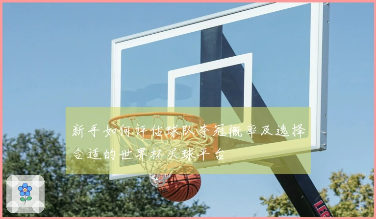 新手如何评估球队夺冠概率及选择合适的世界杯买球平台