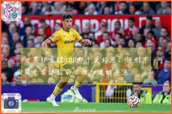 世界杯竞猜app哪个更好用？评测不同平台体验前你该知道的要点