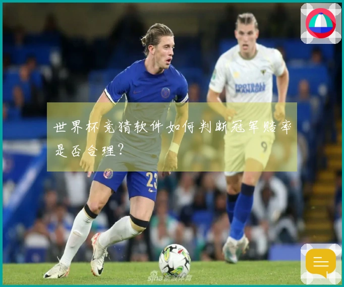 世界杯竞猜软件如何判断冠军赔率是否合理？