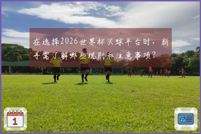 在选择2026世界杯买球平台时，新手需了解哪些规则和注意事项？