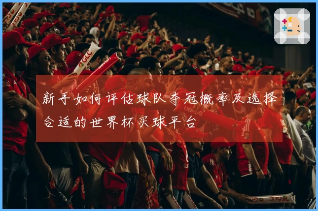 新手如何评估球队夺冠概率及选择合适的世界杯买球平台