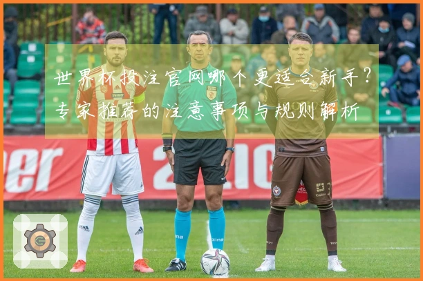 世界杯投注官网哪个更适合新手？专家推荐的注意事项与规则解析
