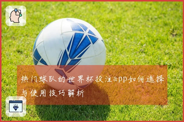 热门球队的世界杯投注app如何选择与使用技巧解析