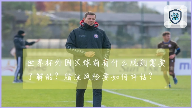世界杯外围买球前有什么规则需要了解的？赌注风险要如何评估？