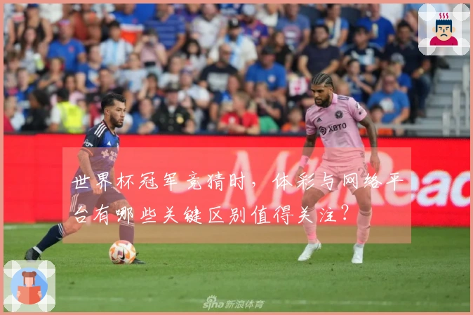 世界杯冠军竞猜时，体彩与网络平台有哪些关键区别值得关注？