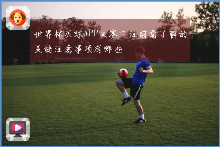 世界杯买球APP决赛下注前需了解的关键注意事项有哪些