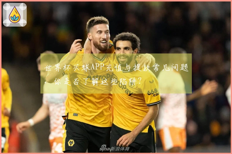 世界杯买球APP充值与提款常见问题，你是否了解这些陷阱？