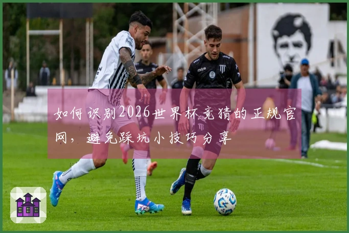 如何识别2026世界杯竞猜的正规官网，避免踩坑小技巧分享