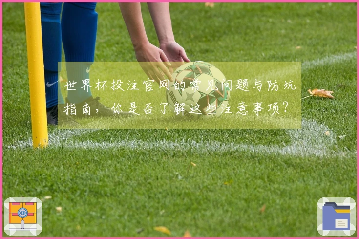 世界杯投注官网的常见问题与防坑指南，你是否了解这些注意事项？