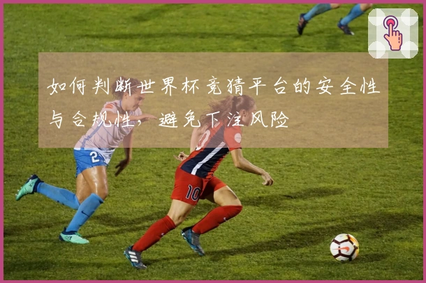 如何判断世界杯竞猜平台的安全性与合规性，避免下注风险
