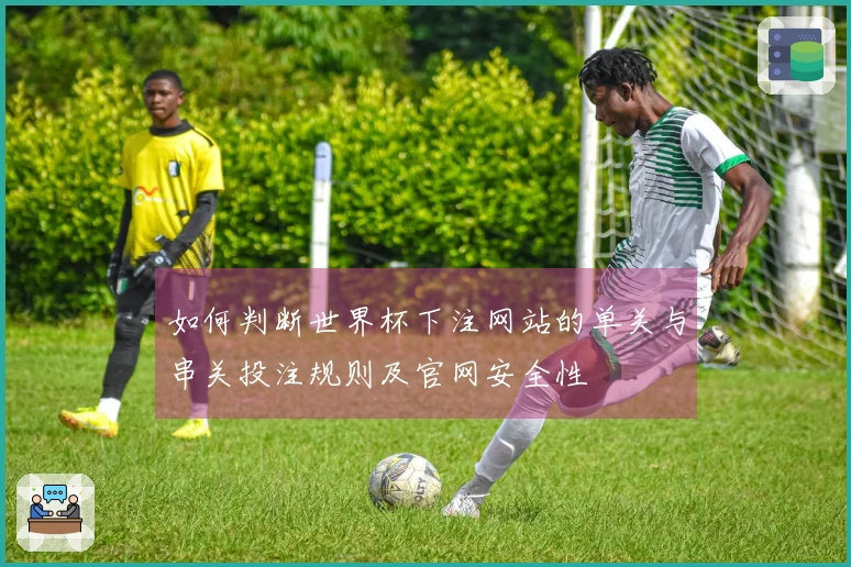 如何判断世界杯下注网站的单关与串关投注规则及官网安全性