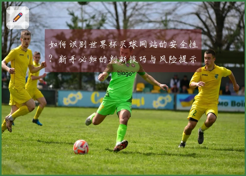 如何识别世界杯买球网站的安全性？新手必知的判断技巧与风险提示