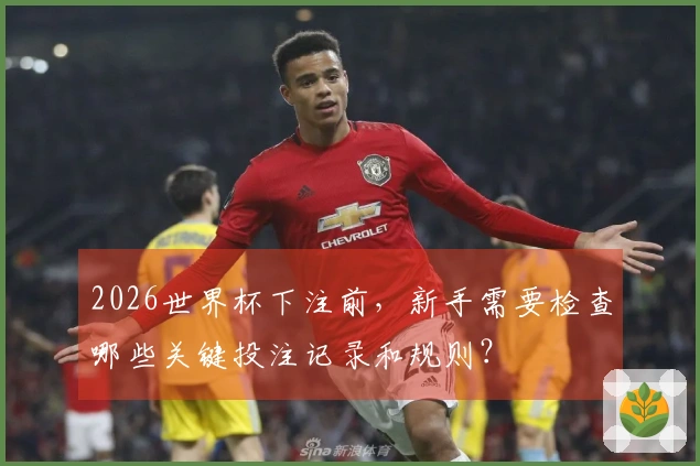 2026世界杯下注前，新手需要检查哪些关键投注记录和规则？