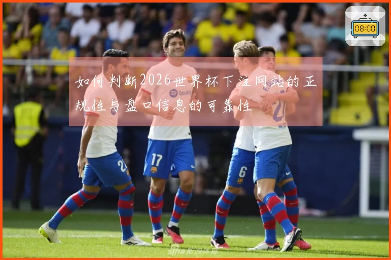 如何判断2026世界杯下注网站的正规性与盘口信息的可靠性