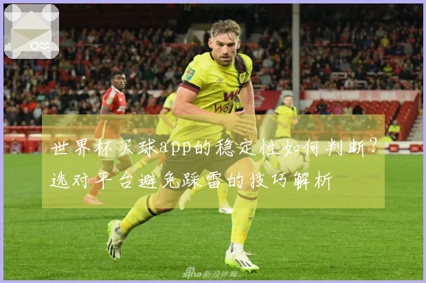 世界杯买球app的稳定性如何判断？选对平台避免踩雷的技巧解析