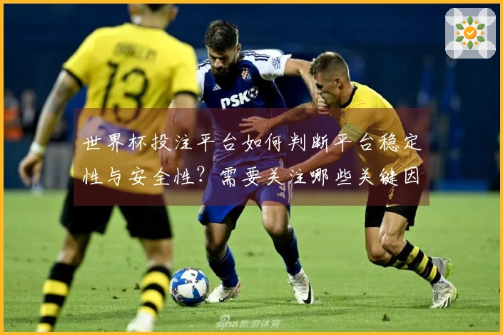 世界杯投注平台如何判断平台稳定性与安全性？需要关注哪些关键因素？