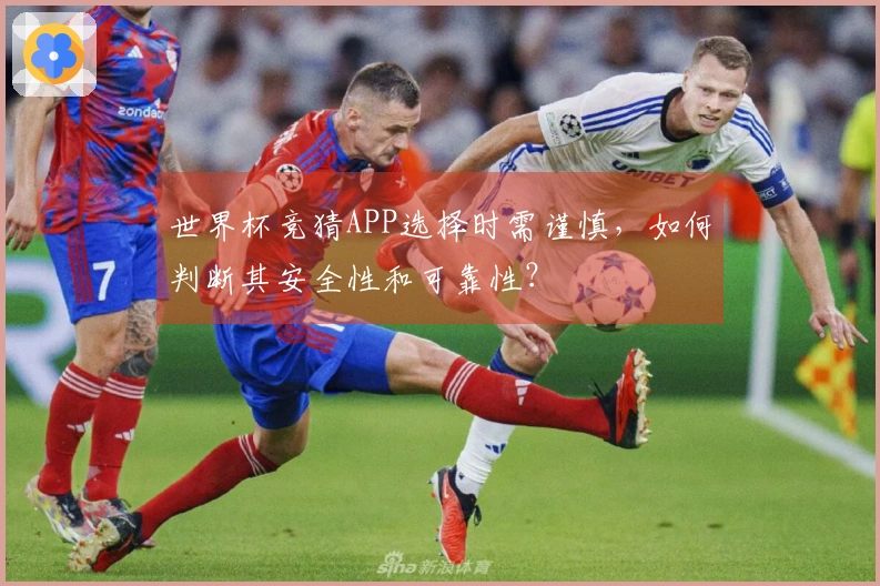世界杯竞猜APP选择时需谨慎，如何判断其安全性和可靠性？