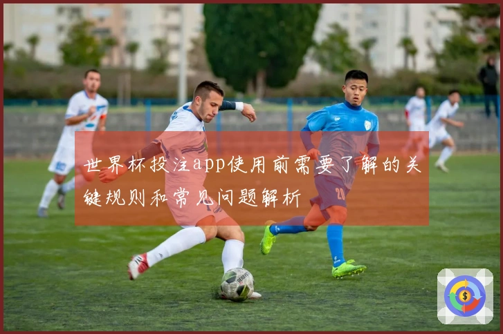 世界杯投注app使用前需要了解的关键规则和常见问题解析