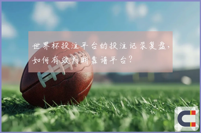 世界杯投注平台的投注记录复盘，如何有效判断靠谱平台？