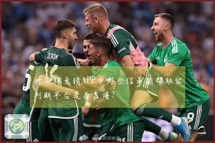 世界杯竞猜APP中哪些信号能帮助你判断平台是否靠谱？
