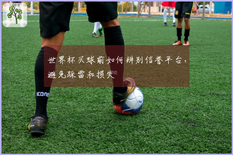 世界杯买球前如何辨别信誉平台，避免踩雷和损失